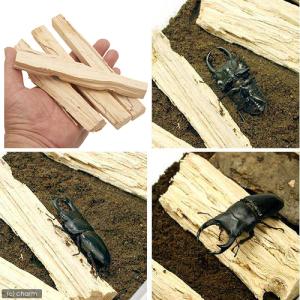 転倒防止材パック 昆虫 カブトムシ クワガタ ...の詳細画像3