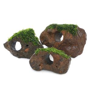 一点物 モロッコ産 直角石 オルソセラスの群生化石 48×36cm 表面