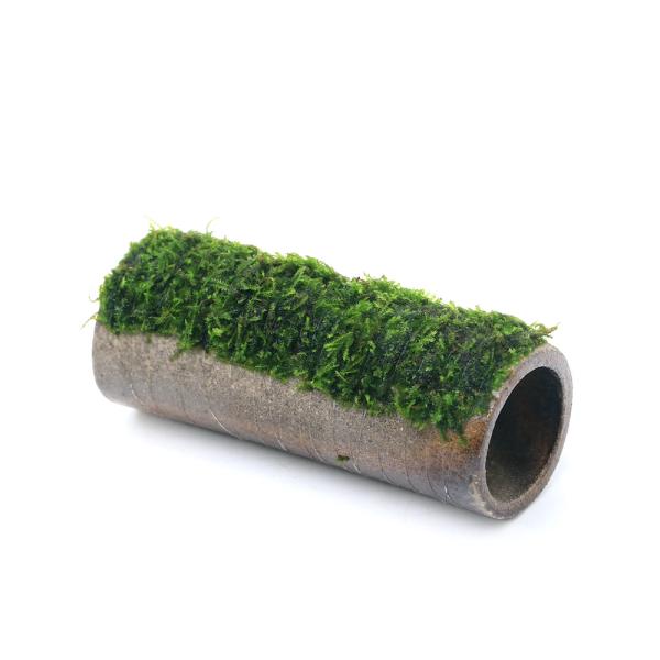 （水草）巻きたて　益子焼プレコシェルター　小　ウィローモスｓｐ．ナロー（水中葉）（無農薬）（１個）