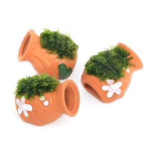 No,004 国産 南米ウィローモス 活着流木 1個 : G3 AQUA LAB ヤフー