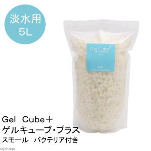 京セラ CERAPHIC いきもの電球 5000K(昼白色) 広角 : アクアテイラーズ