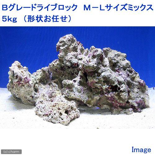 （海水魚）Ｂグレードライブロック　Ｍ−Ｌサイズミックス（５ｋｇ）（形状お任せ）　北海道・九州航空便要...