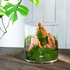《終売》（観葉植物）ＧＥＸ　グラスアクアリウム　ポット　木紋岩　レイアウト完成品(１個)