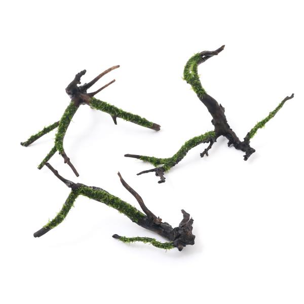 （水草）巻きたて　ウィローモスｓｐ．ナロー　枝状流木　Ｓサイズ（１０ｃｍ〜）（水中葉）（無農薬）（１...