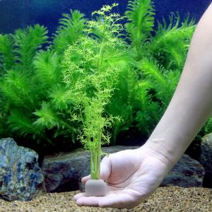 (水草)ゼオライトリング(グレー)ファインリー...の詳細画像2
