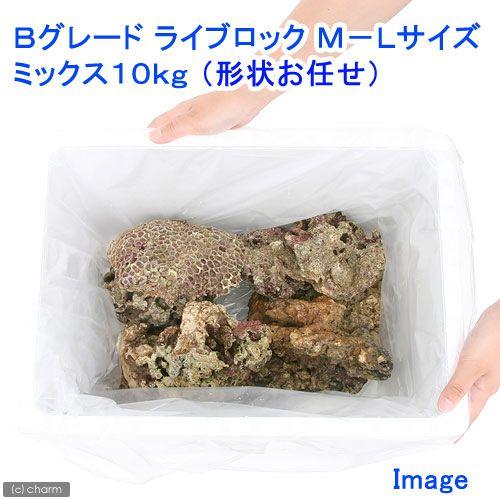 （海水魚）Ｂグレードライブロック　Ｍ−Ｌサイズミックス（１０ｋｇ）（形状お任せ）　北海道・九州航空便...