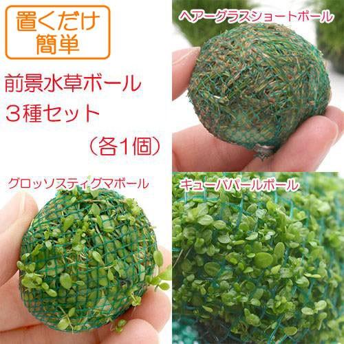 （水草）置くだけ簡単　前景水草ボール３種セット（水中葉）（無農薬）（各１個）