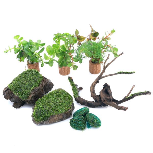 （水草）ウィローモスレイアウトセット＋ライフマルチ（茶）　寄せ植えミックス３個付　（１セット）