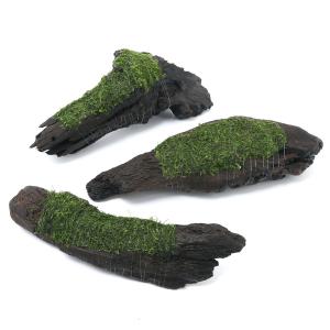 チャーム（charm） （水草）ホシクサsp．クチ（水中葉）（無農薬