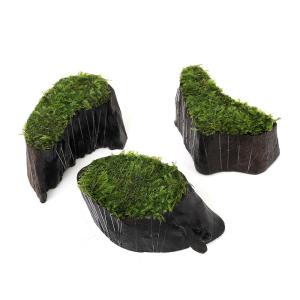 （水草）巻きたて　南米ウィローモス　切り株流木　ミニサイズ（水中葉）（無農薬）（１個）