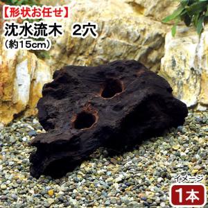 ニッソー 形状お任せ 自然流木 特大（約30〜50cm） 1本 お一