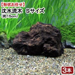 カミハタ 海道達磨 外掛け式プロテインスキマー ベンチュリー式 60