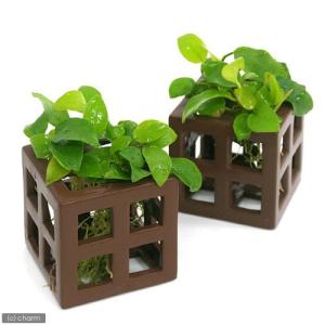 マメデザイン マメオーバーフローM（mame overflow M