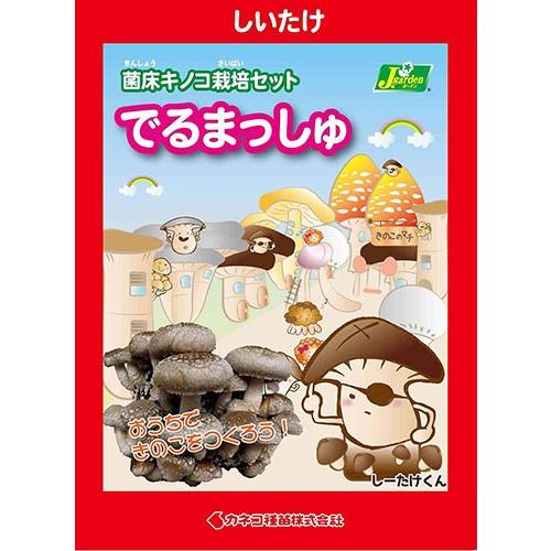（観葉植物）きのこ栽培キット　でるまっしゅ　しいたけ（１個）　家庭菜園