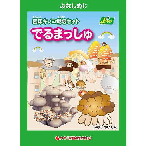 （観葉植物）きのこ栽培キット　でるまっしゅ　ぶなしめじ（１個）　家庭菜園