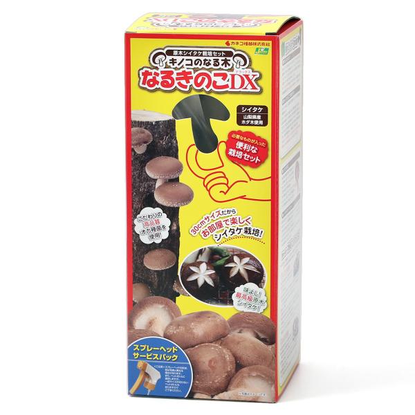 （観葉植物）きのこ栽培キット　原木しいたけ栽培　なるきのこＤＸ（１個）　家庭菜園
