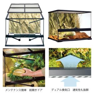 爬虫類ケージ GEX エキゾテラ グラステラリ...の詳細画像1