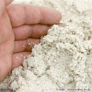 カミハタ カリブシー アラガライブ フィジーピ...の詳細画像1