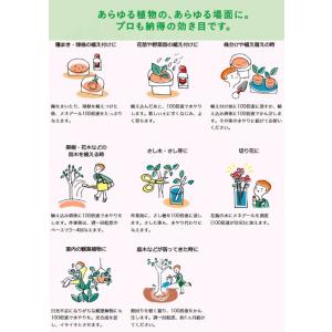 メネデール 植物活性素 500mLの詳細画像2