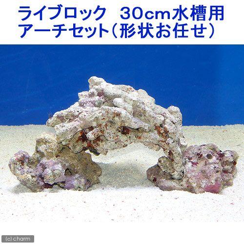 （海水魚）ライブロック　３０ｃｍ水槽用アーチセット（形状お任せ）　北海道・九州航空便要保温