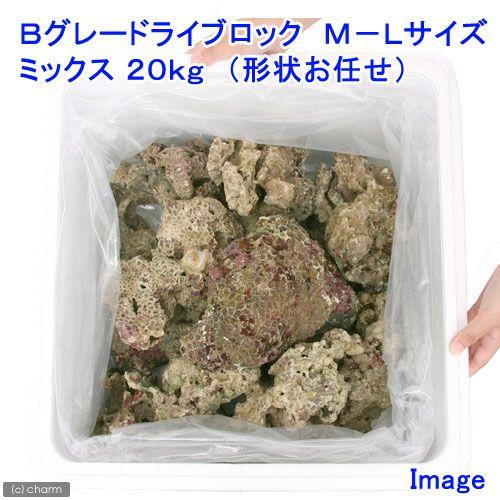 （海水魚）Ｂグレードライブロック　Ｍ−Ｌサイズミックス（２０ｋｇ）（形状お任せ）