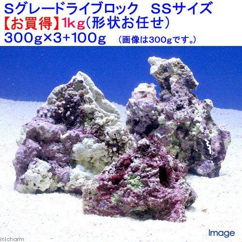 （海水魚）Ｓグレードライブロック　ＳＳサイズ（１ｋｇ）（形状お任せ）　北海道・九州航空便要保温