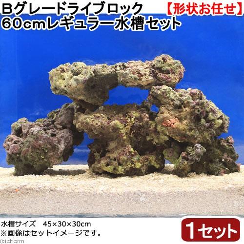 （海水魚）Ｂグレードライブロック　６０ｃｍレギュラー水槽用（１セット）（形状お任せ）　北海道・九州航...