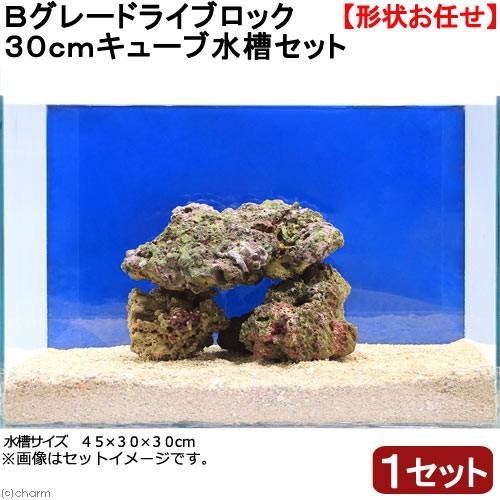 （海水魚）Ｂグレードライブロック　３０ｃｍキューブ水槽用　（１セット）（形状お任せ）　北海道・九州航...