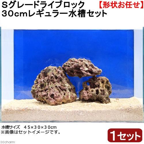 （海水魚）Ｓグレードライブロック　３０ｃｍキューブ水槽用（１セット）（形状お任せ）　北海道・九州航空...