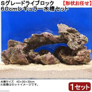 （海水魚）Ｓグレードライブロック　６０ｃｍレギュラー水槽用（１セット）（形状お任せ）　北海道・九州航空便要保温