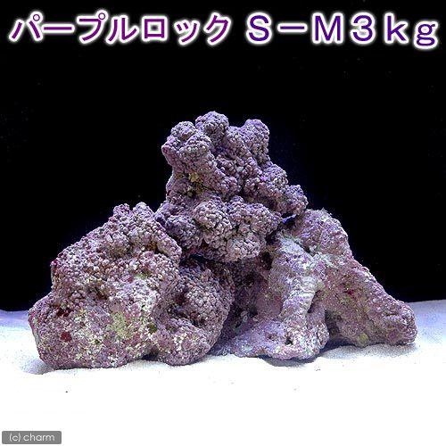（海水魚）ライブロック　ＥＸＳグレード　パープルロック　Ｓ−Ｍサイズミックス　３ｋｇ（形状お任せ）　...
