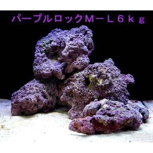 チャーム（charm） （海水魚）ライブロック EXSグレード パープル