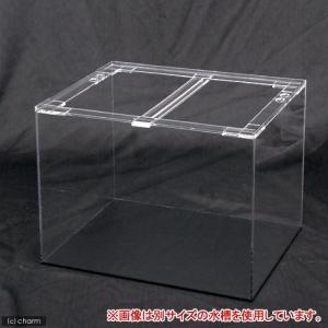 コトブキ工芸 （大型）コトブキ工芸 120cm水槽 アクアリスト