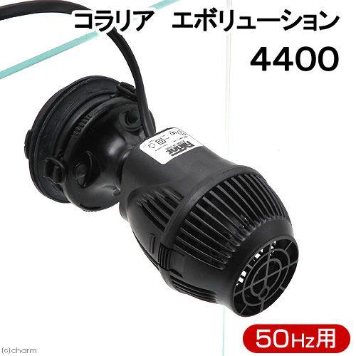 ５０Ｈｚ　コラリア　エボリューション　４４００　５０Ｈｚ（東日本用）　サーキュレーター　海水魚　サン...