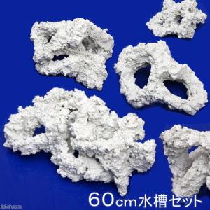 Ｃ．Ｐ．Ｆａｒｍ　人工ライブロックレプリカ　６０ｃｍ水槽セット　（１個）（形状お任せ）　沖縄別途送料