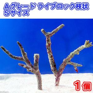 LSS研究所 エクストリームバイオペレット 1000ml バイオペレット