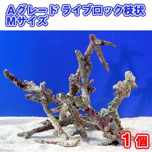 （海水魚）Ａグレードライブロック　枝状Ｍサイズ（１個）（形状お任せ）　北海道・九州航空便要保温