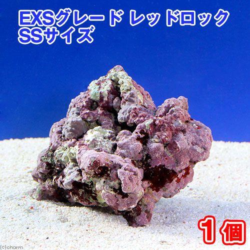 （海水魚）ライブロック　ＥＸＳグレード　レッドロック　ＳＳサイズ（１個）（形状お任せ）　北海道・九州...
