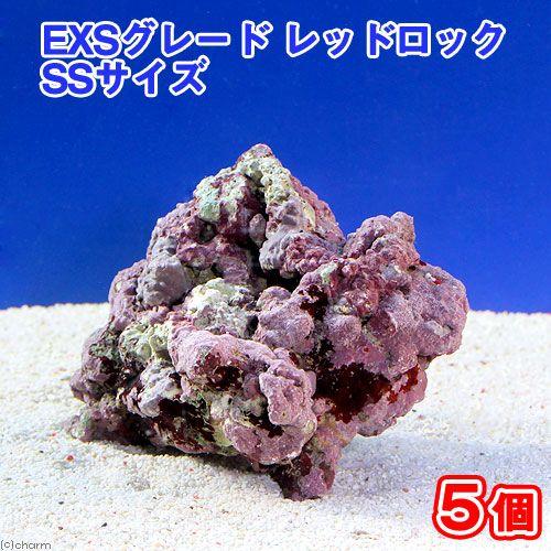 （海水魚）ライブロック　ＥＸＳグレード　レッドロック　ＳＳサイズ（５個）（形状お任せ）　北海道・九州...