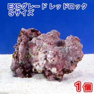 （海水魚）ライブロック　ＥＸＳグレード　レッドロック　Ｓサイズ（１個）（形状お任せ）