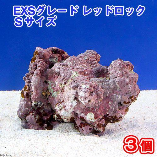 （海水魚）ライブロック　ＥＸＳグレード　レッドロック　Ｓサイズ（３個）（形状お任せ）　北海道・九州航...