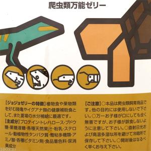 ジクラ アギト 爬虫類万能ゼリー 10の詳細画像1