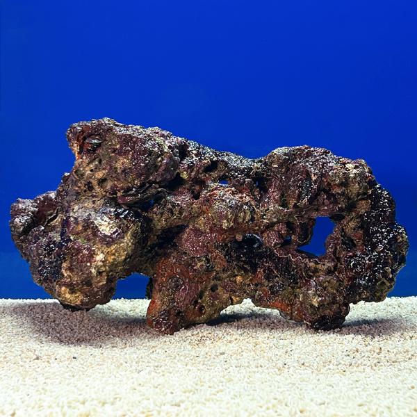 （海水魚）一点物　ライブロック（ＬＬサイズ）　ＬＲ−３６７８（１個）　北海道・九州航空便要保温