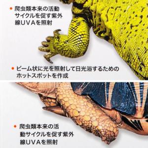 ZOOMED レプティ バスキングスポットラン...の詳細画像2
