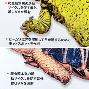 ZOOMED レプティ バスキングスポットラン...の詳細画像2