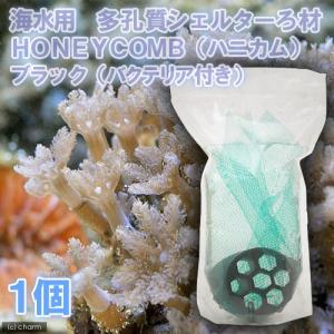 （海水魚）ろ材　海水用　多孔質シェルターろ材　ＨＯＮＥＹＣＯＭＢ（ハニカム）ブラック（バクテリア付き）（１個）｜chanet