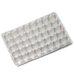 紙製卵トレー 45×29cm 昆虫 コオロギ ...の詳細画像1