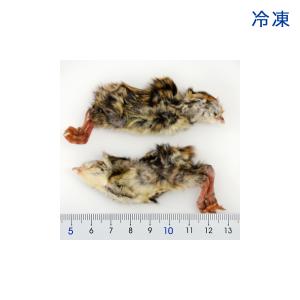 冷凍★冷凍ヒナウズラ 500gパック 別途クー...の詳細画像1