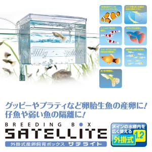 スドー 外掛式産卵飼育ボックス サテライトの詳細画像3