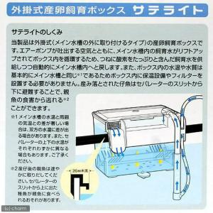スドー 外掛式産卵飼育ボックス サテライトの詳細画像4